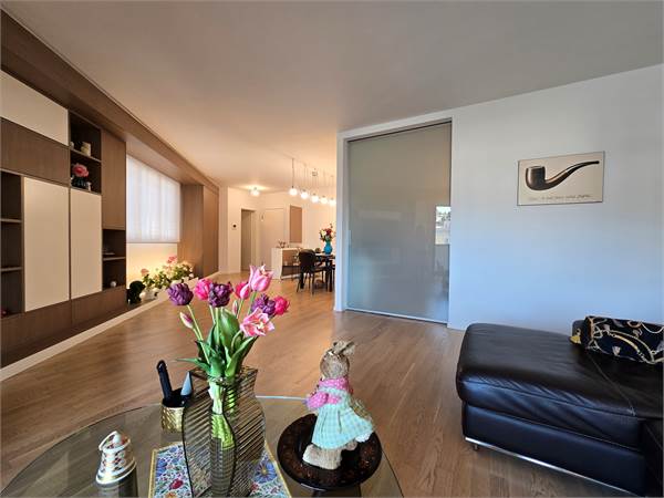 Elegante 4.5 con terrazza e lavanderia in casa