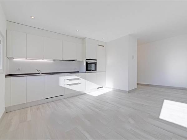 Apartment for rent in Osogna